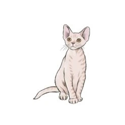 10 Step Drawing: Cats - J. Lecouffe -Painting Supplies 10 Step Drawing Cats 2