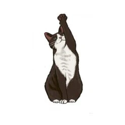 Painting Supplies -Painting Supplies 10 Step Drawing Cats 3