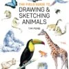 The Field Guide To Drawing And Sketching Animals - T. Pond -Painting Supplies 81NzVFdRPbL