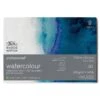 Winsor & Newton Professional Watercolour Block 300gsm/ 140Ib 20 Sheets - Rough -Painting Supplies 884955076361 WN PWC BLOCK RGH 300 7x10 1