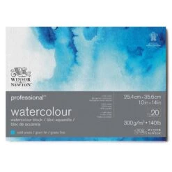 Winsor & Newton Professional Water Colour Blocks -Painting Supplies 91174