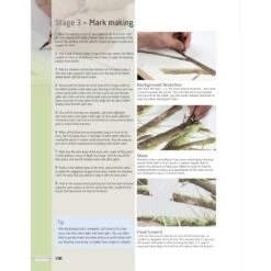 Bird Art: Drawing Birds Using Graphite & Coloured Pencils - A. Woollett -Painting Supplies Bird Art3