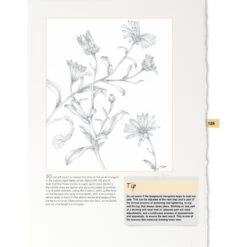 Botanical Drawing - P. Brown -Painting Supplies Botanical4