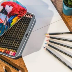 Derwent Chromaflow Pencils - Set Of 24 - FREE Set Of 2 Blender Pens -Painting Supplies Chromaflow Set 24 3