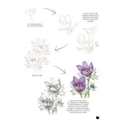 Draw 100: Flowers - J. Whittle & P. Brown -Painting Supplies Draw 100 Flowers 2