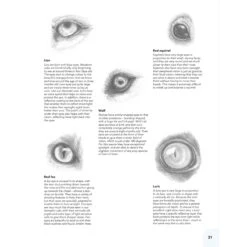 Drawing Animals - L. Swinburne -Painting Supplies Drawing Animals 4