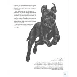 Drawing Animals - L. Swinburne -Painting Supplies Drawing Animals 6