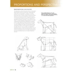Drawing Animals Using Grids - G. Civardi -Painting Supplies Drawing Animals Using Grids 2