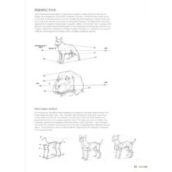 Drawing Animals Using Grids - G. Civardi -Painting Supplies Drawing Animals Using Grids 3