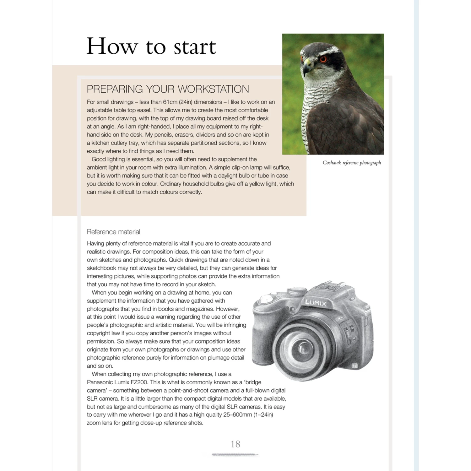 Drawing Birds - A. Forkner 5 Drawing Birds - A. Forkner - Image 3