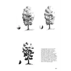 Drawing - A Complete Guide: Nature - G. Civardi -Painting Supplies Drawing Complete Guide Nature 4