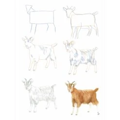 How To Draw: Farm Animals In Simple Steps - S. Hodge -Painting Supplies How To Draw Farm Animals 4