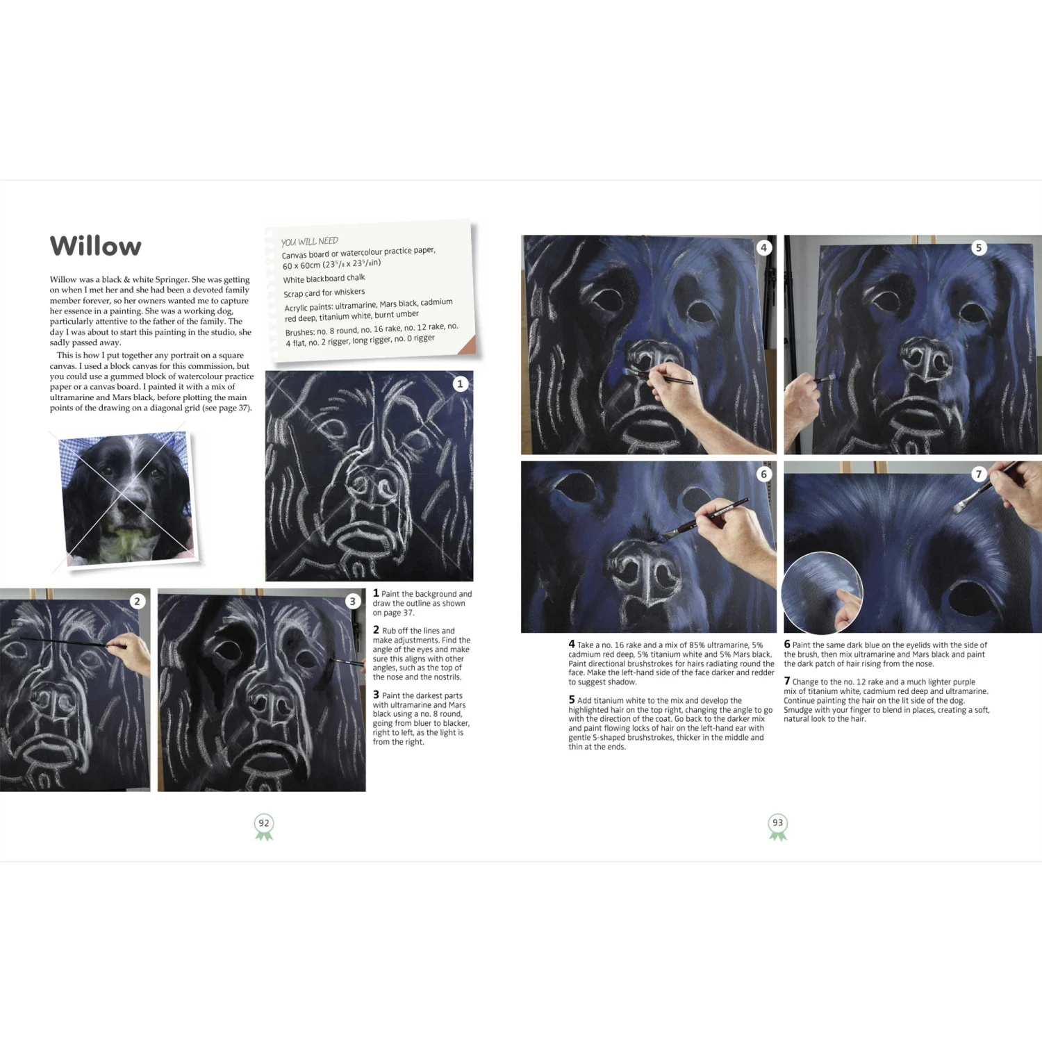 Painting Dog Portraits In Acrylics - D. White 5 Painting Dog Portraits In Acrylics - D. White - Image 3