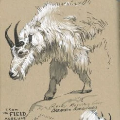 Faber-Castell Pitt Artist Pen - Black/White (Pack Of 4) -Painting Supplies Pitt Artist Pen BlackWhite Pack 4 5