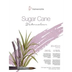 Hahnemühle Sugar Cane Watercolour Pads - 290gsm - 12 Sheets 8 Hahnemühle Sugar Cane Watercolour Pads - 290gsm - 12 Sheets -Painting Supplies Sugar Cane Watercolour Pad 30x40 829909e6 e6f3 47eb 9037 0db11e72be70