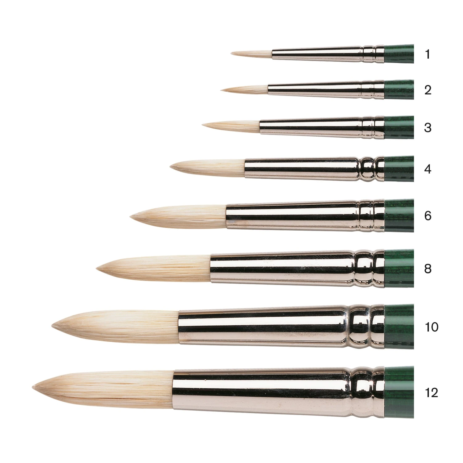 Winsor & Newton Winton Long Handled Hog Brush - Round 4 Winsor & Newton Winton Long Handled Hog Brush - Round - Image 2