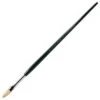 Winsor & Newton Winton Long Handled Hog Brush - Filbert -Painting Supplies Winton Filbert Brush 1