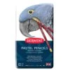 Derwent Pastel Pencil Metal Tins 2 Derwent Pastel Pencil Metal Tins -Painting Supplies derwent pastel pencils 12