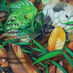 Faber-Castell Polychromos 120 -Painting Supplies example 4