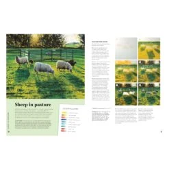 Paint 50 Landscapes By J. F. Dowden -Painting Supplies landscapes sheep in pasture