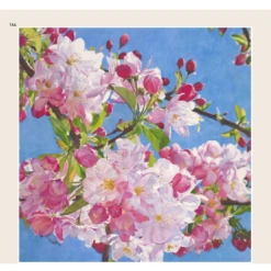 The New Encyclopedia Of Watercolour Techniques - H. Harrison -Painting Supplies page10 e45f9b7c 1b8b 4e78 b6ad e59c1ddbeaf2