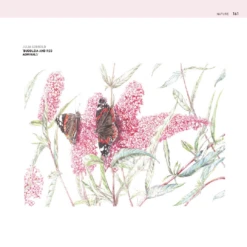 The Encyclopedia Of Coloured Pencil Techniques - J. Martin -Painting Supplies page7 73b1b59e 5e26 4470 abe4 0047b3970daf