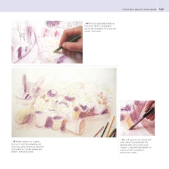 The Encyclopedia Of Coloured Pencil Techniques - J. Martin -Painting Supplies page9 c9972537 f7c7 4c93 b509 522b1e02d101