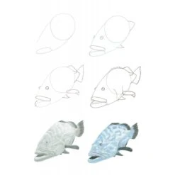 How To Draw Sea Creatures In Simple Steps - J. Newey -Painting Supplies ss how to draw sea creatures 9781800921016 02