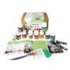 Pebeo Vitrea 160 Glass Painting Set - 10 X 45ml