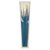 Pro Arte Series C Studio Hog Brush Set - W11 2 Pro Arte Series C Studio Hog Brush Set - W11 -Painting Supplies w11